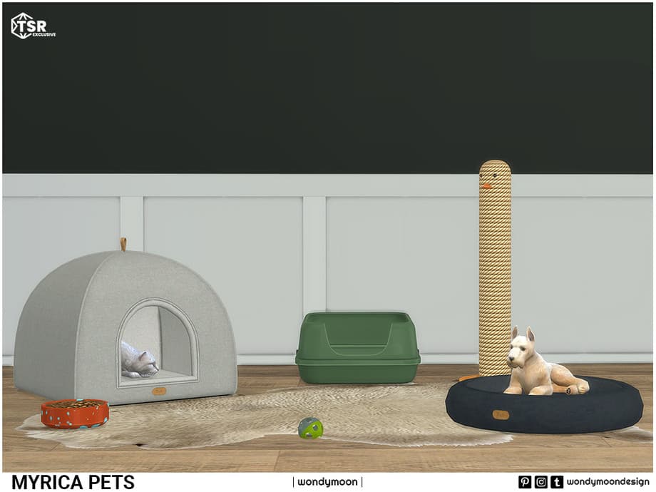 Галерея мода Набор для питомцев Myrica Pets #2